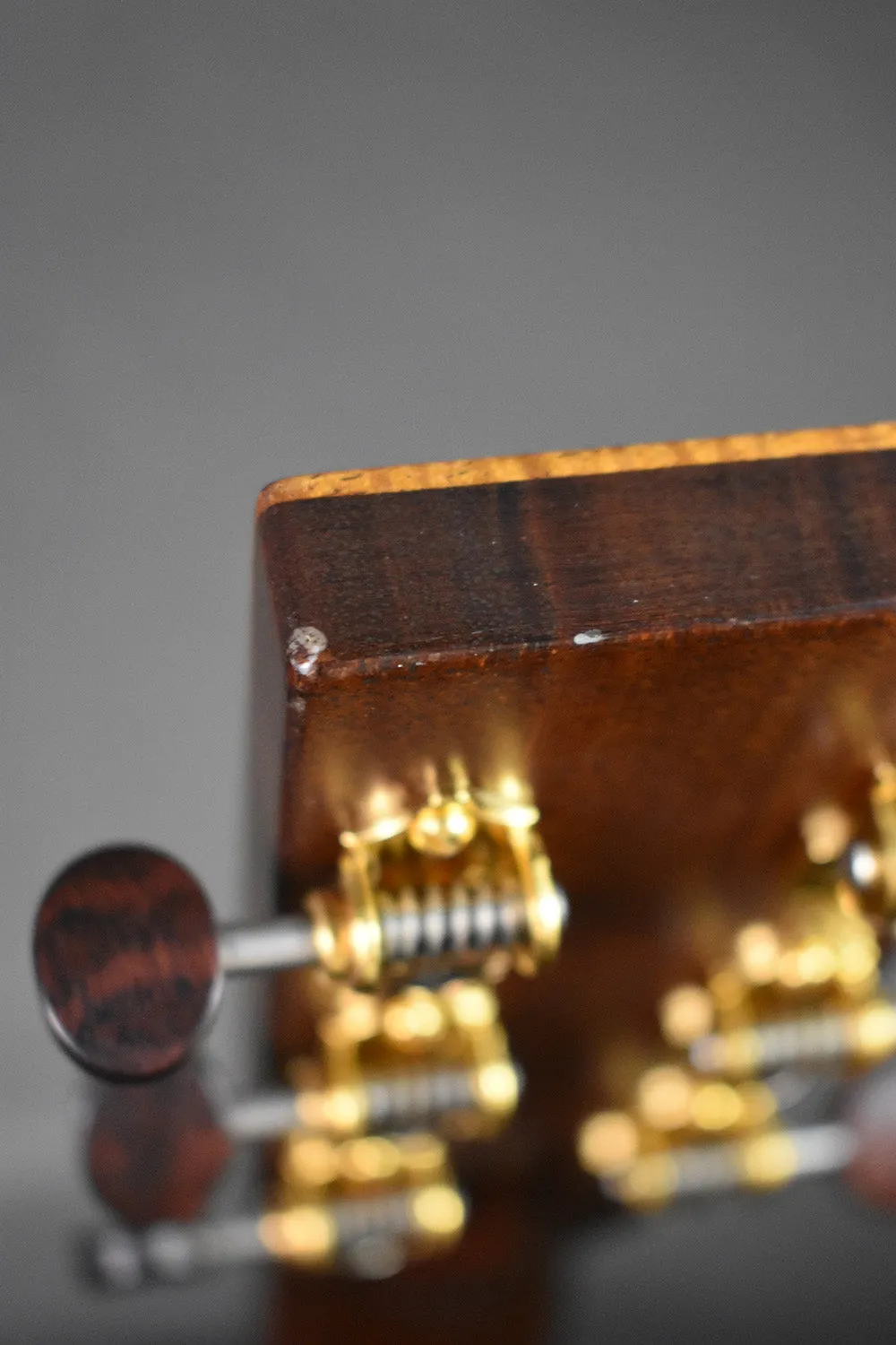 2018 Bourgeois OM-DB Signature Italian/Cocobolo