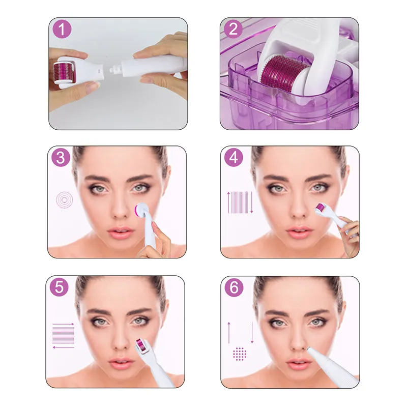 6-in-1 Micro Needle Dermaroller Face Derma Roller Set