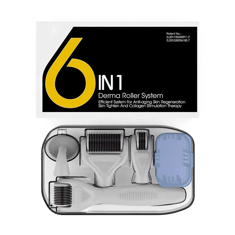 6-in-1 Micro Needle Dermaroller Face Derma Roller Set