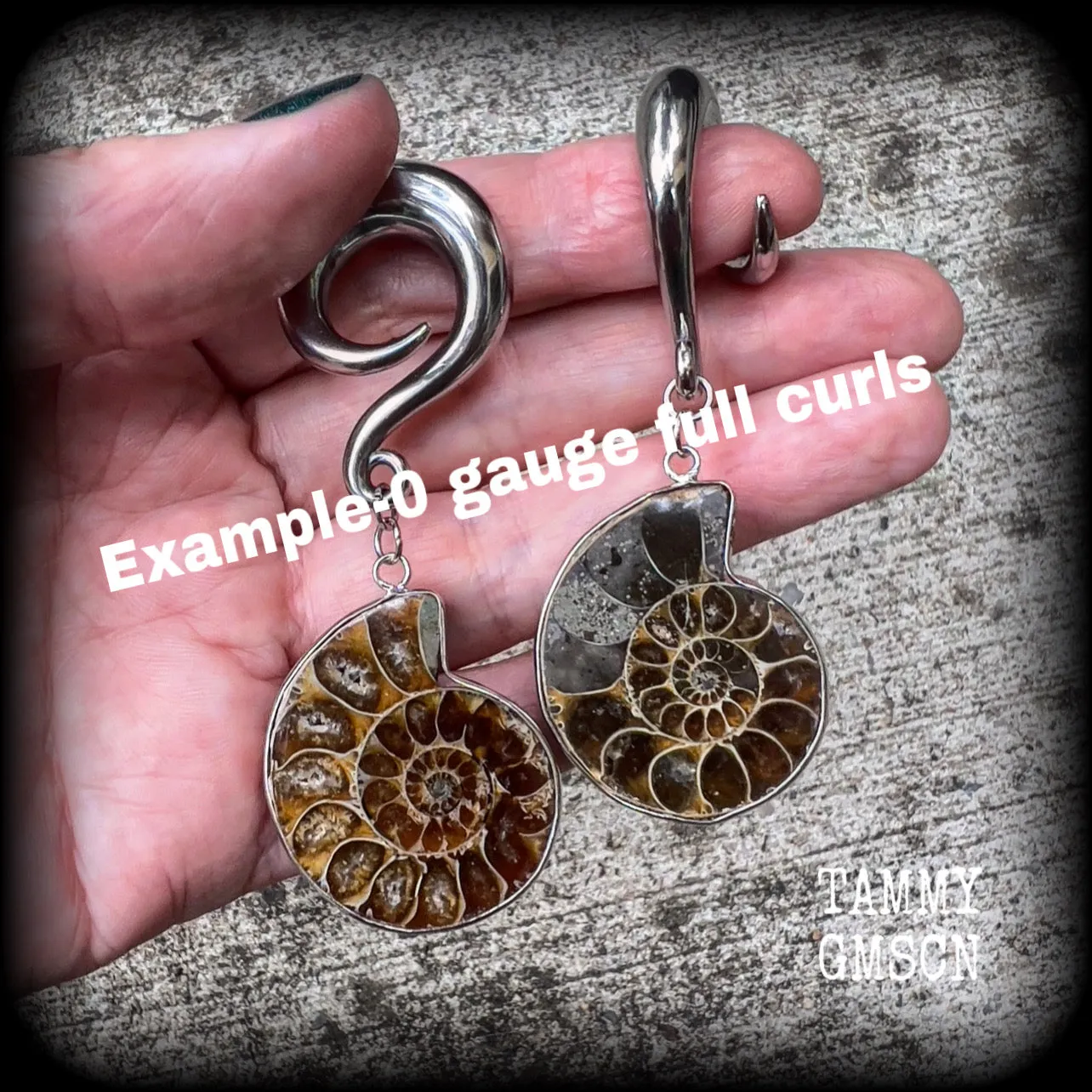 Ammonite gauged earrings