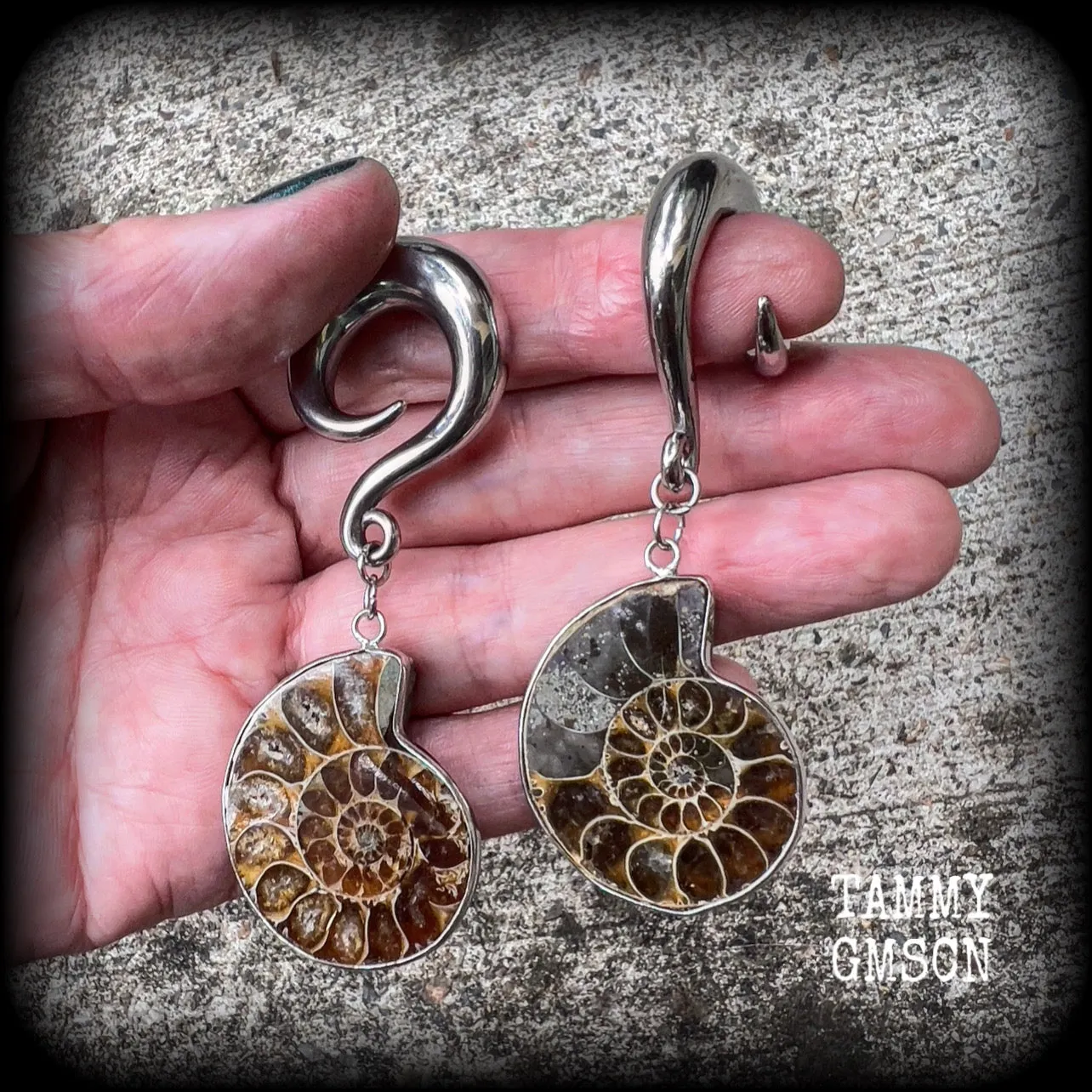 Ammonite gauged earrings