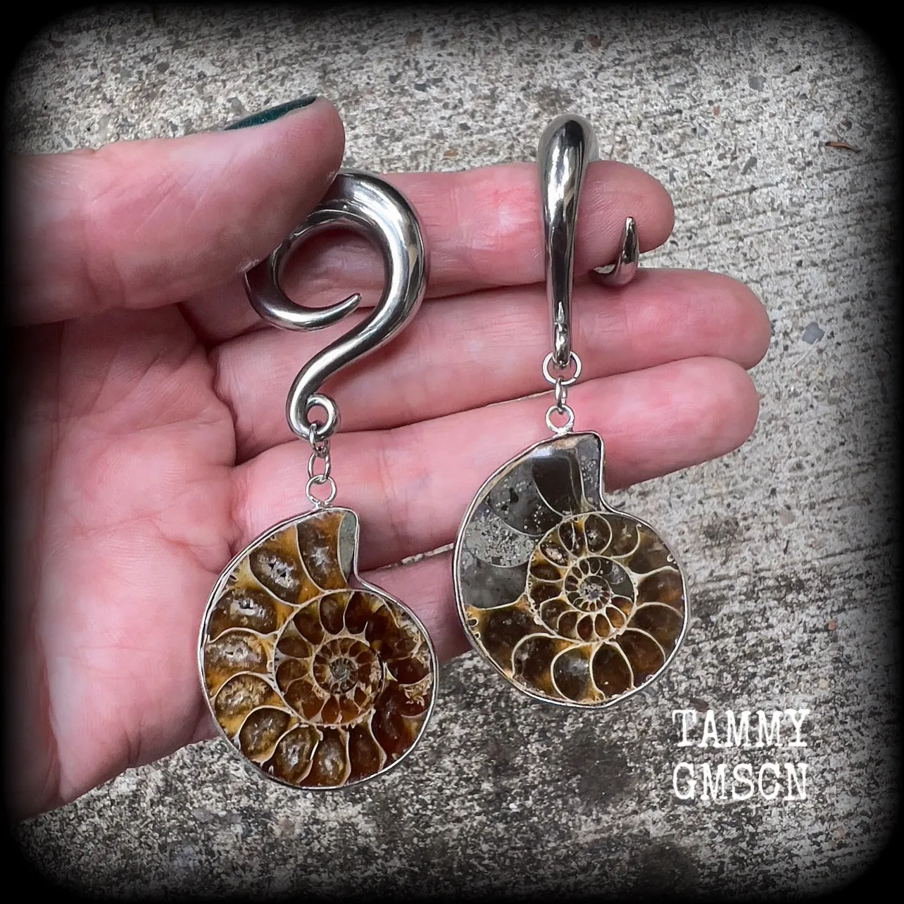 Ammonite gauged earrings