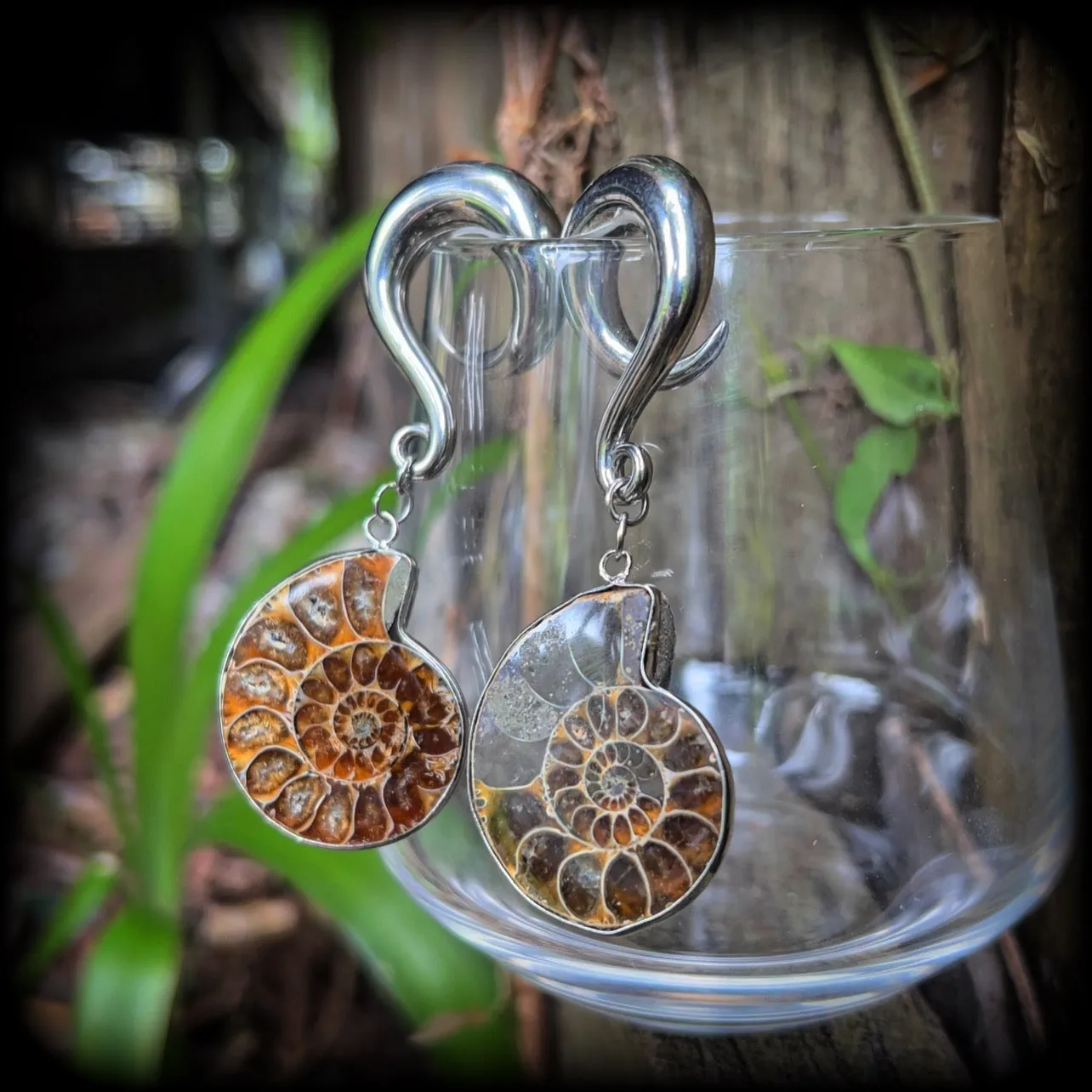 Ammonite gauged earrings