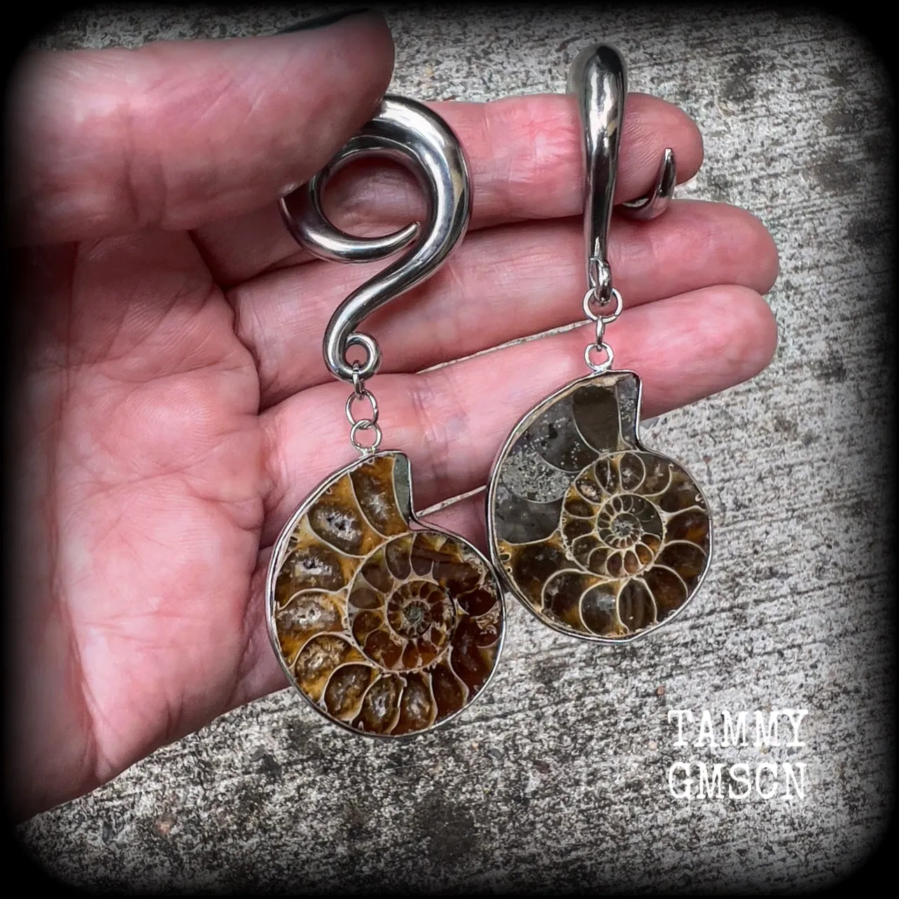 Ammonite gauged earrings