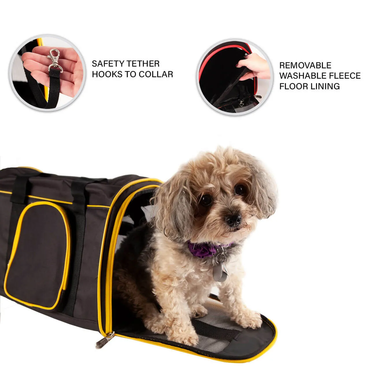 Boston Bruins 16" Premium Pet Carrier