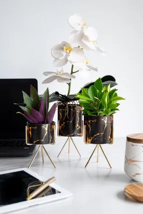 Ceramic Marble Design Mini Decorative Pots - Set of 3