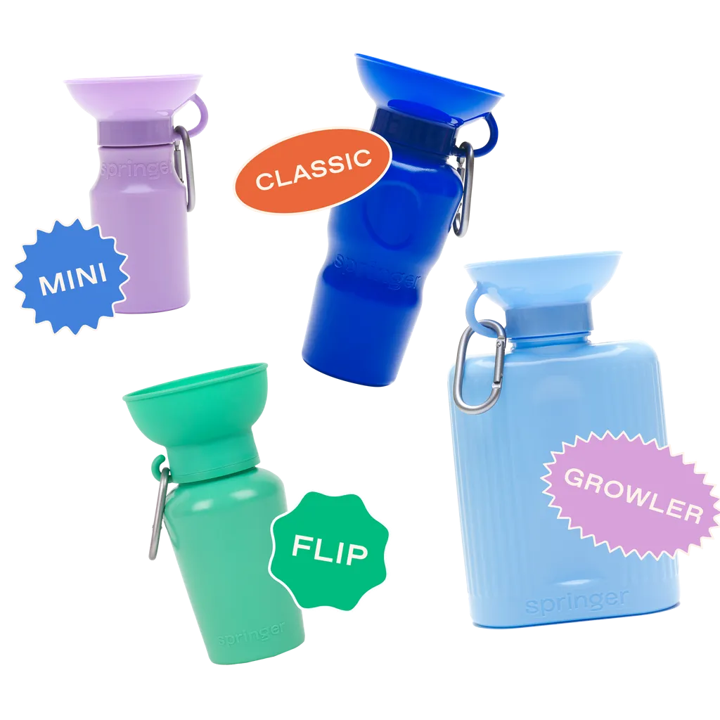 Classic Dog Travel Bottle 22oz - Poppy