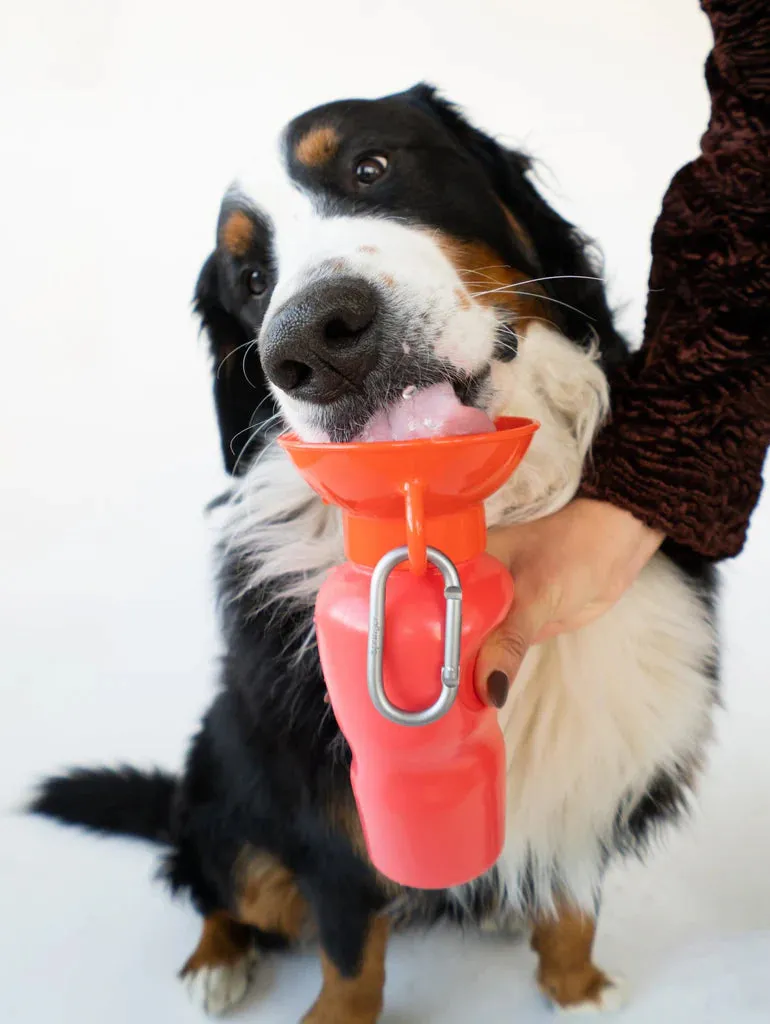 Classic Dog Travel Bottle 22oz - Poppy