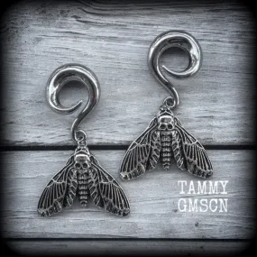 Deathshead moth gauged earrings-Insect ear weights