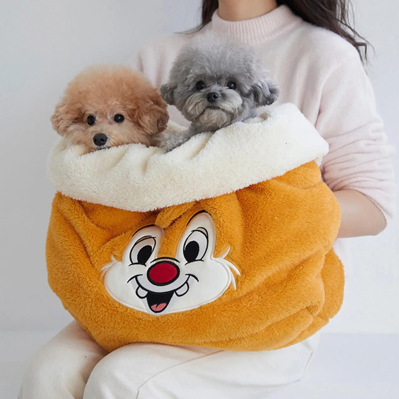 Dentists Appointment Chip & Dale Cozy Bag for Dogs and Cats