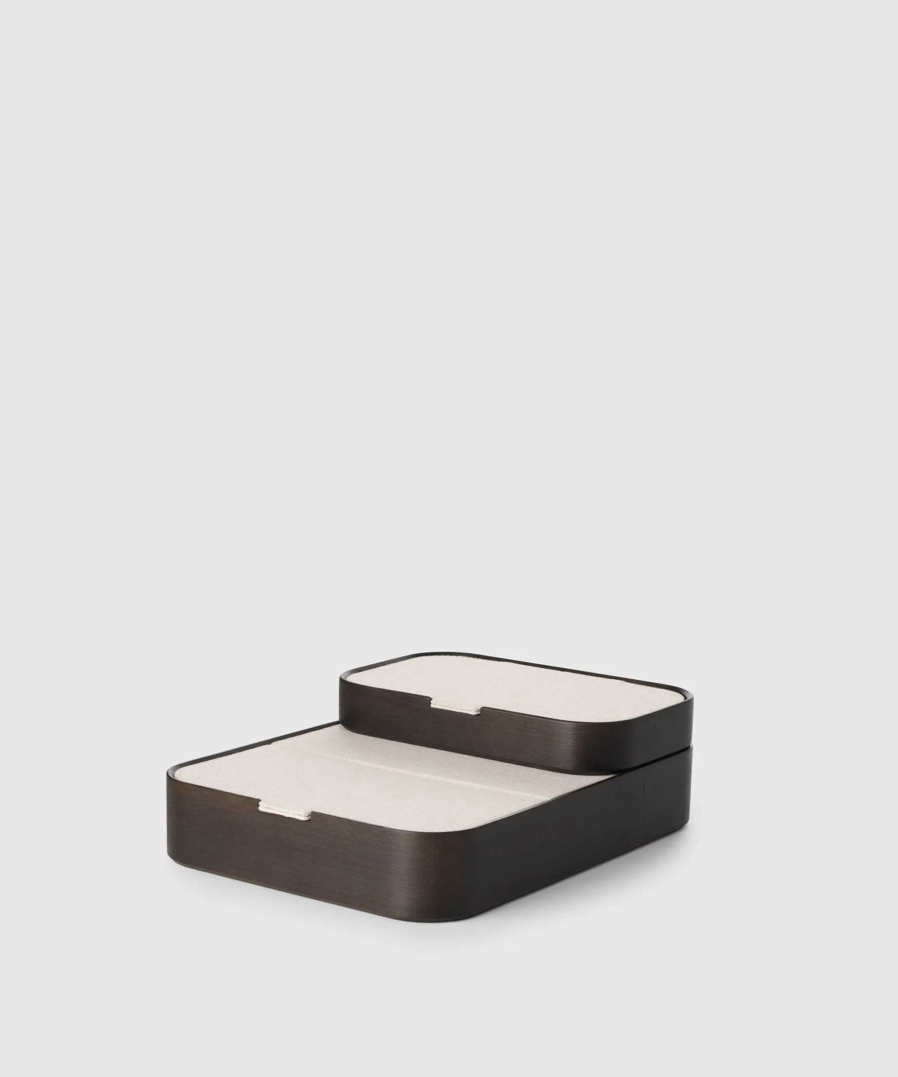 Desktop Organizer & Pending Box