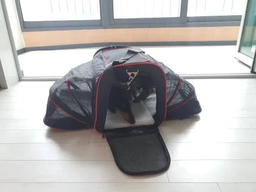 Expandable Dachshund Carrier