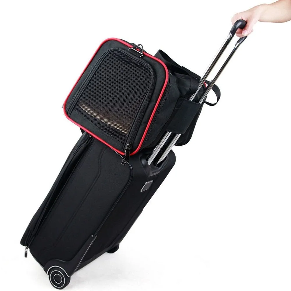 Expandable Dachshund Carrier