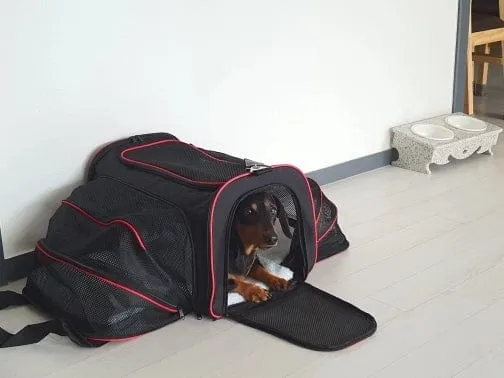 Expandable Dachshund Carrier