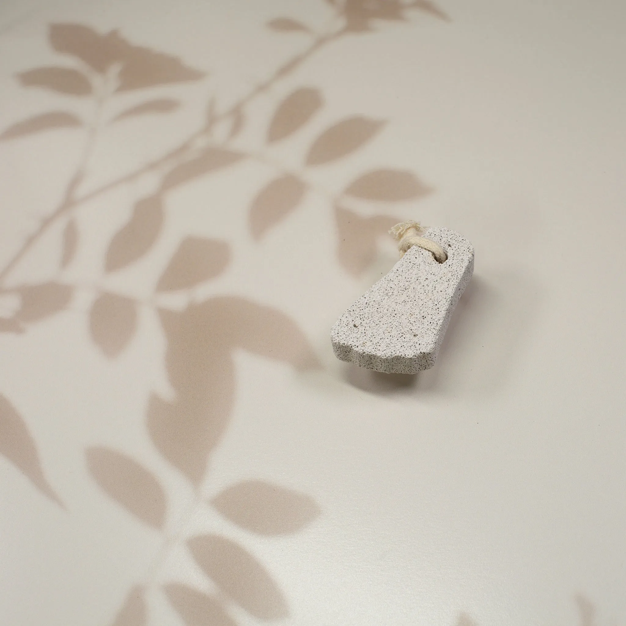 Foot Shaped Pumice Stone