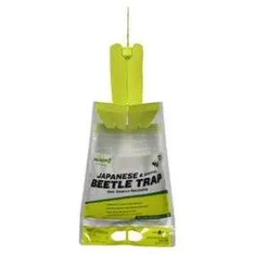 Japanese Beetle Trap