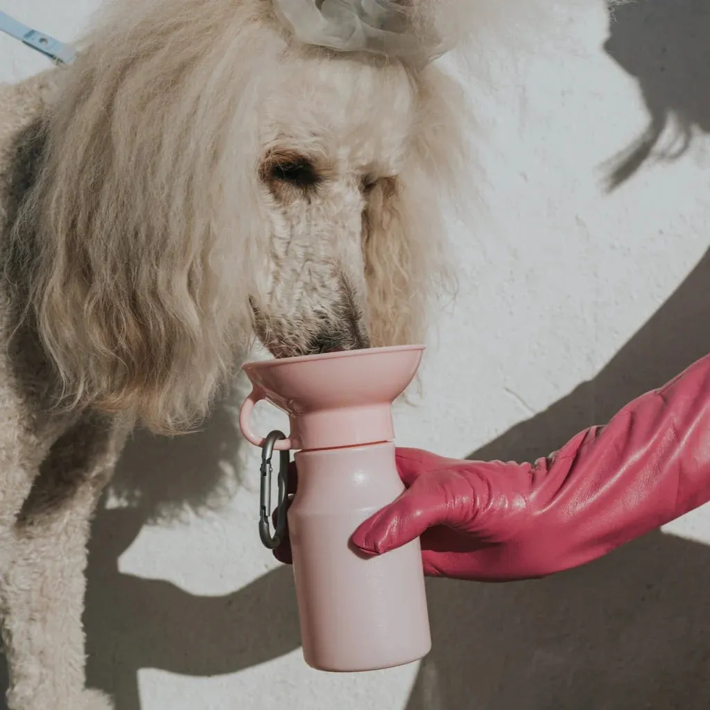 Mini Dog Travel Bottle 15oz - Cotton Candy