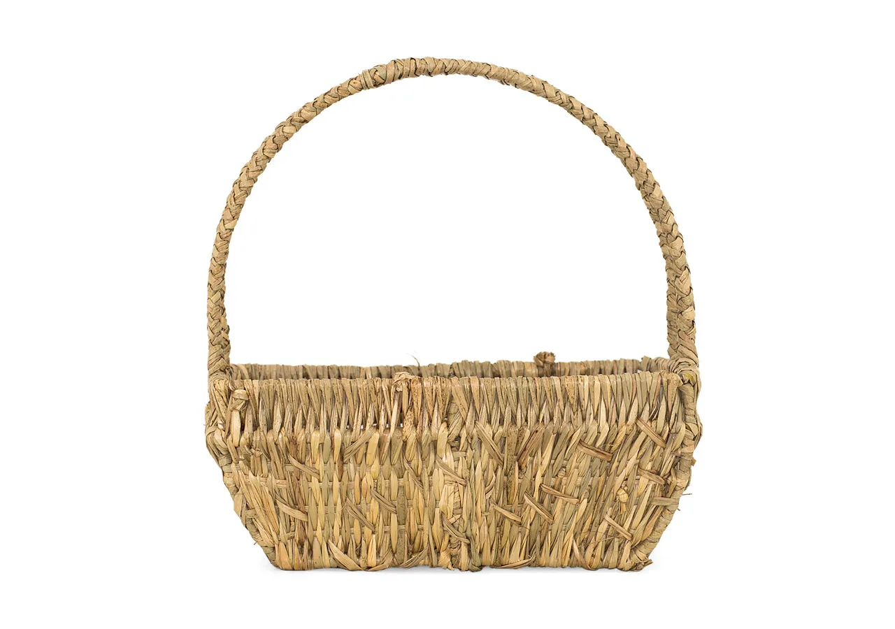 Natural Fruit Basket