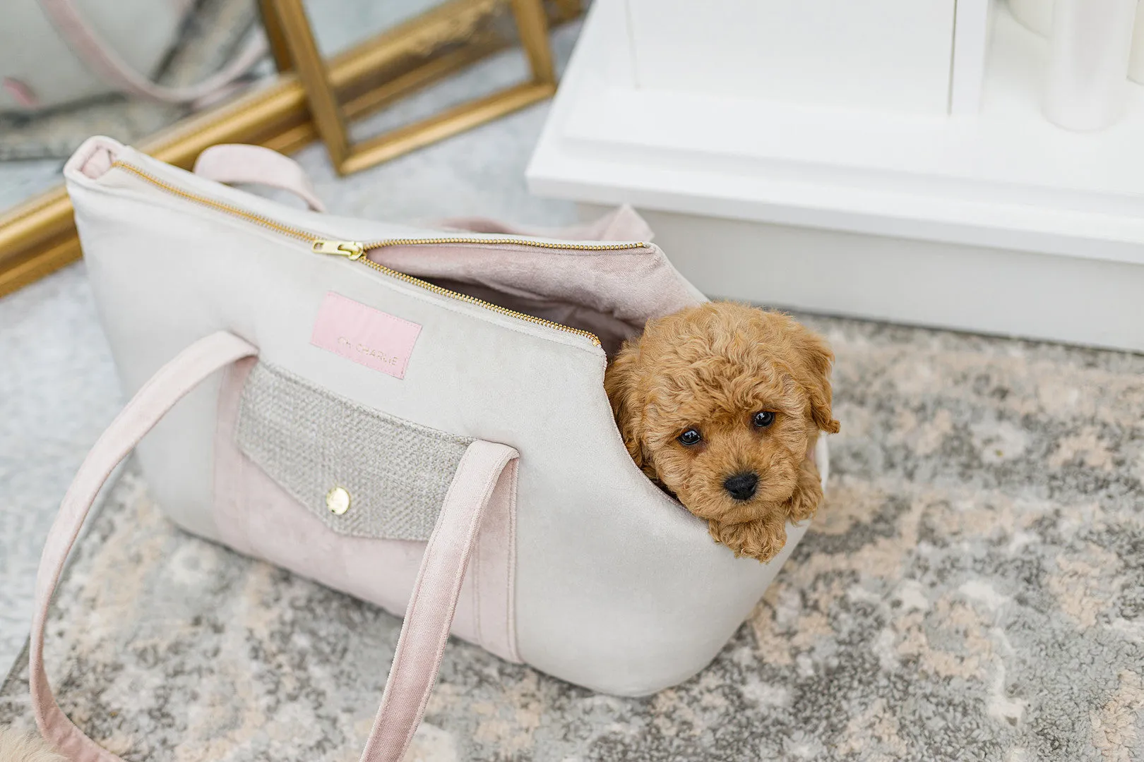 Oh Charlie Pet Carrier Essence