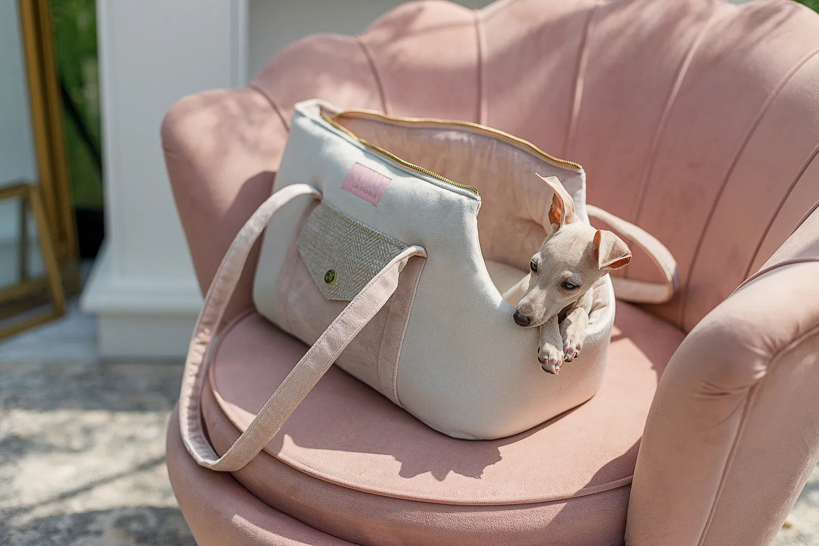 Oh Charlie Pet Carrier Essence