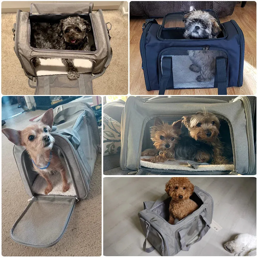 Pat and Pet Emporium | Pet Carriers | Dog Cat Carrier Backpack
