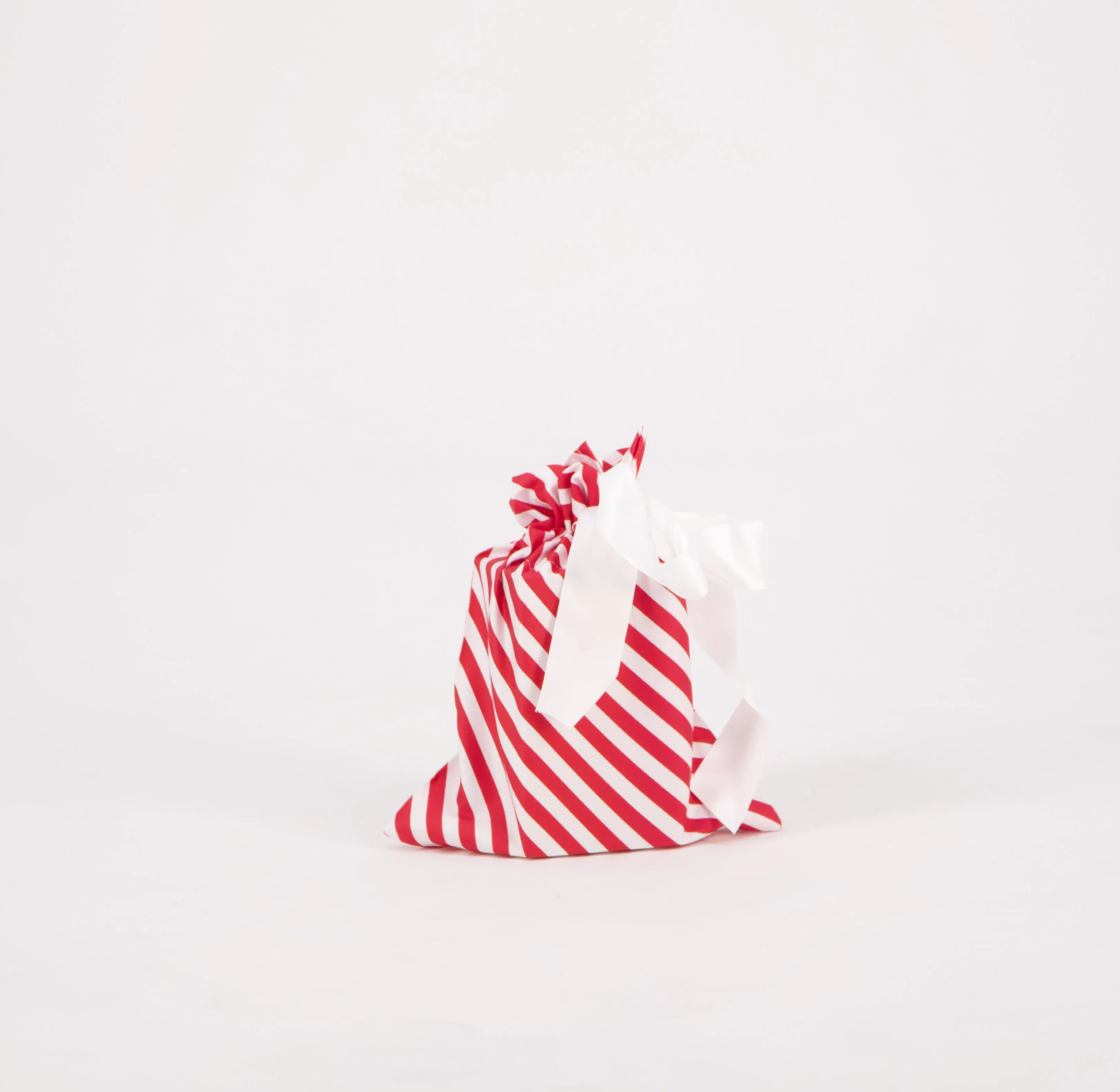Reusable Gift Bag: Tiny