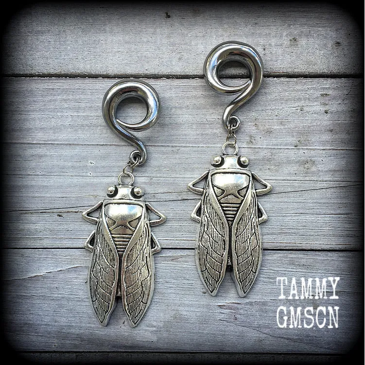 Silver cicada gauged earrings-Insect ear weights