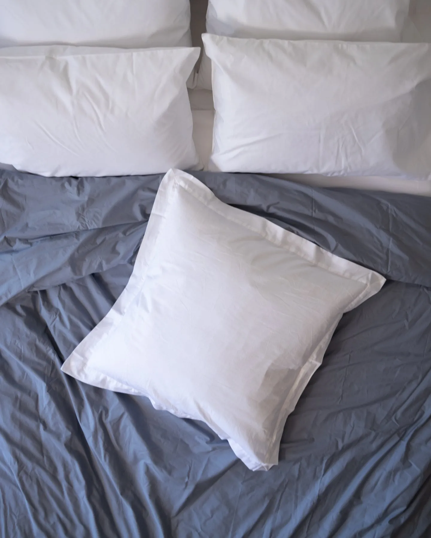 Winnie Organic Cotton Sateen Euro Sham - 300 TC